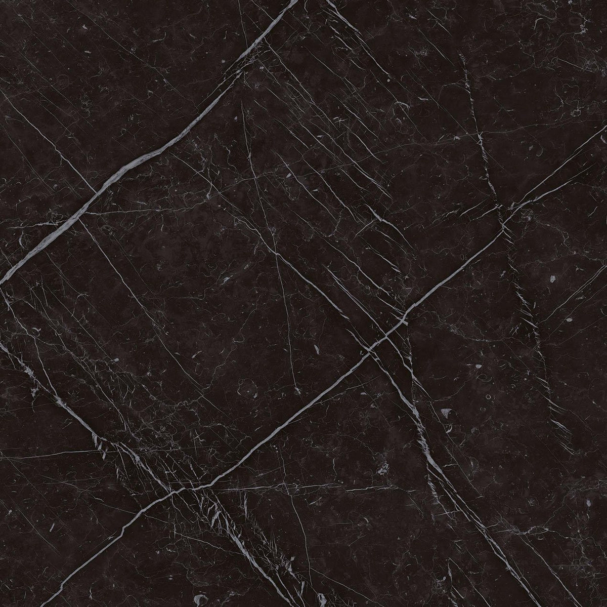 Porcelanato - Marvel Stone Nero Marquina - Arca – Leader and Supplier of  Natural Stone, Marble and Wood Floors - Grupo Arca
