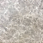 Tundra Gray