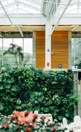 The GREEN guide to a sustainable home