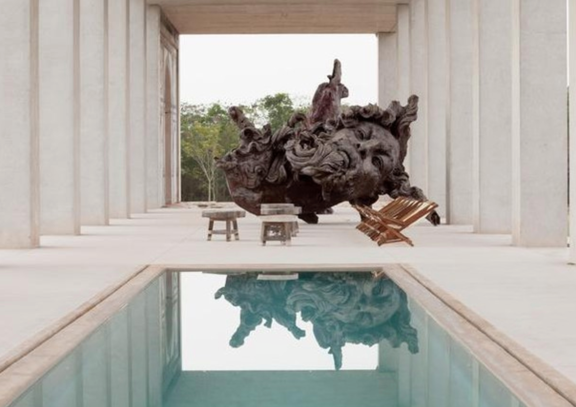 Plantel Matilde por Javier Marín