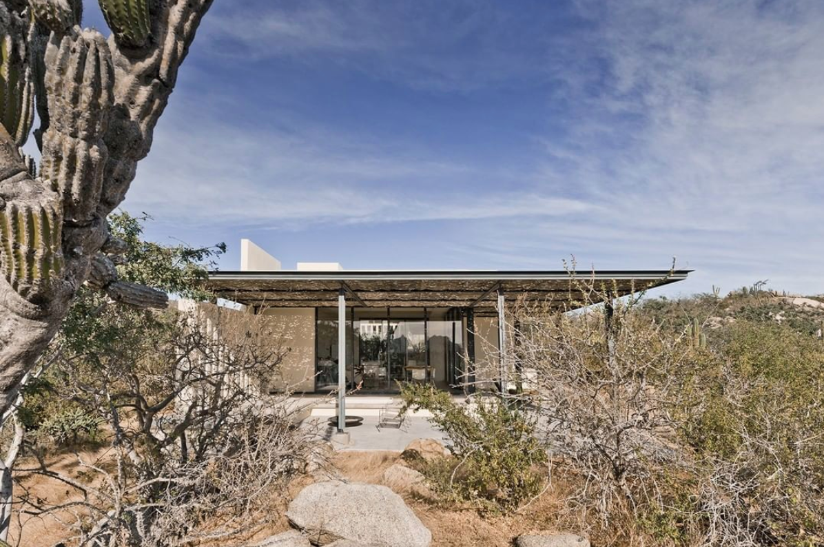 Zacatitos 02 por Campos Leckie Studio