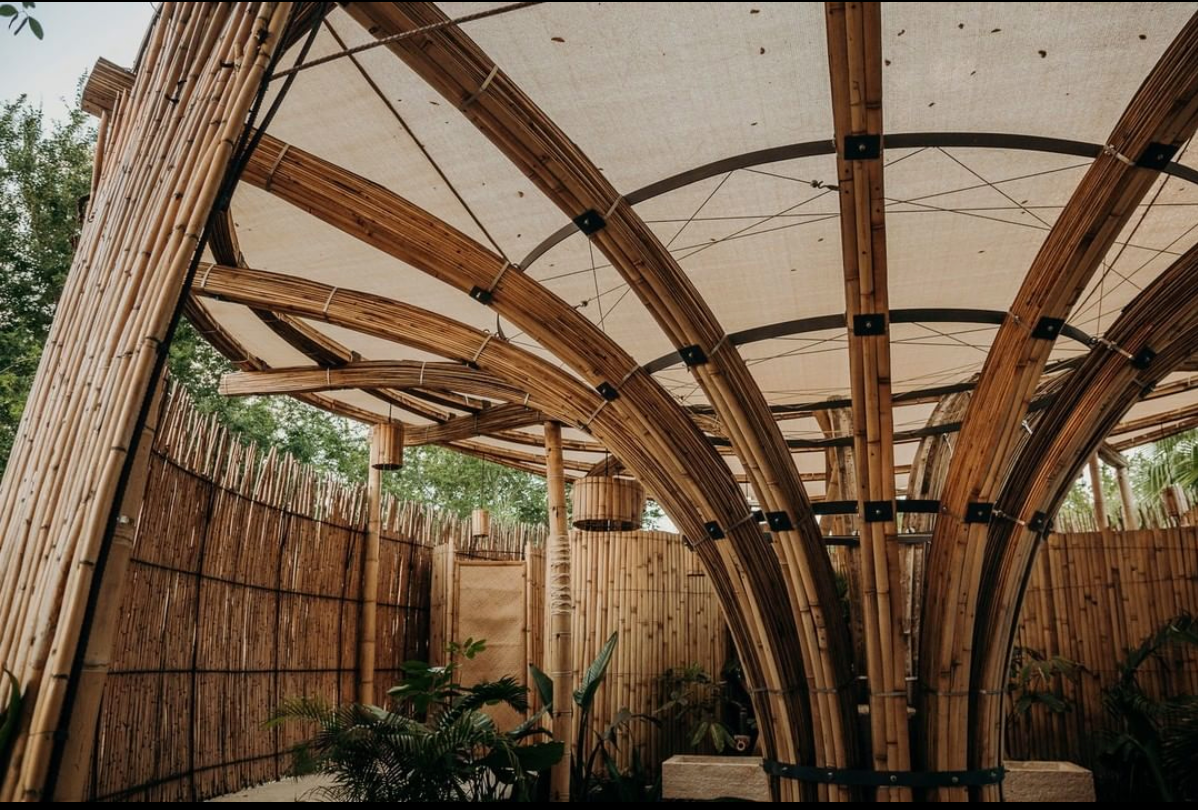 Flor de Bambú por FabrikG