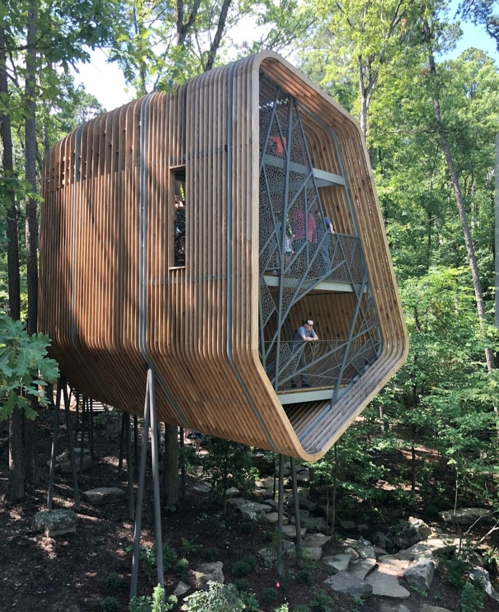 Evans Tree House por Modus Studio