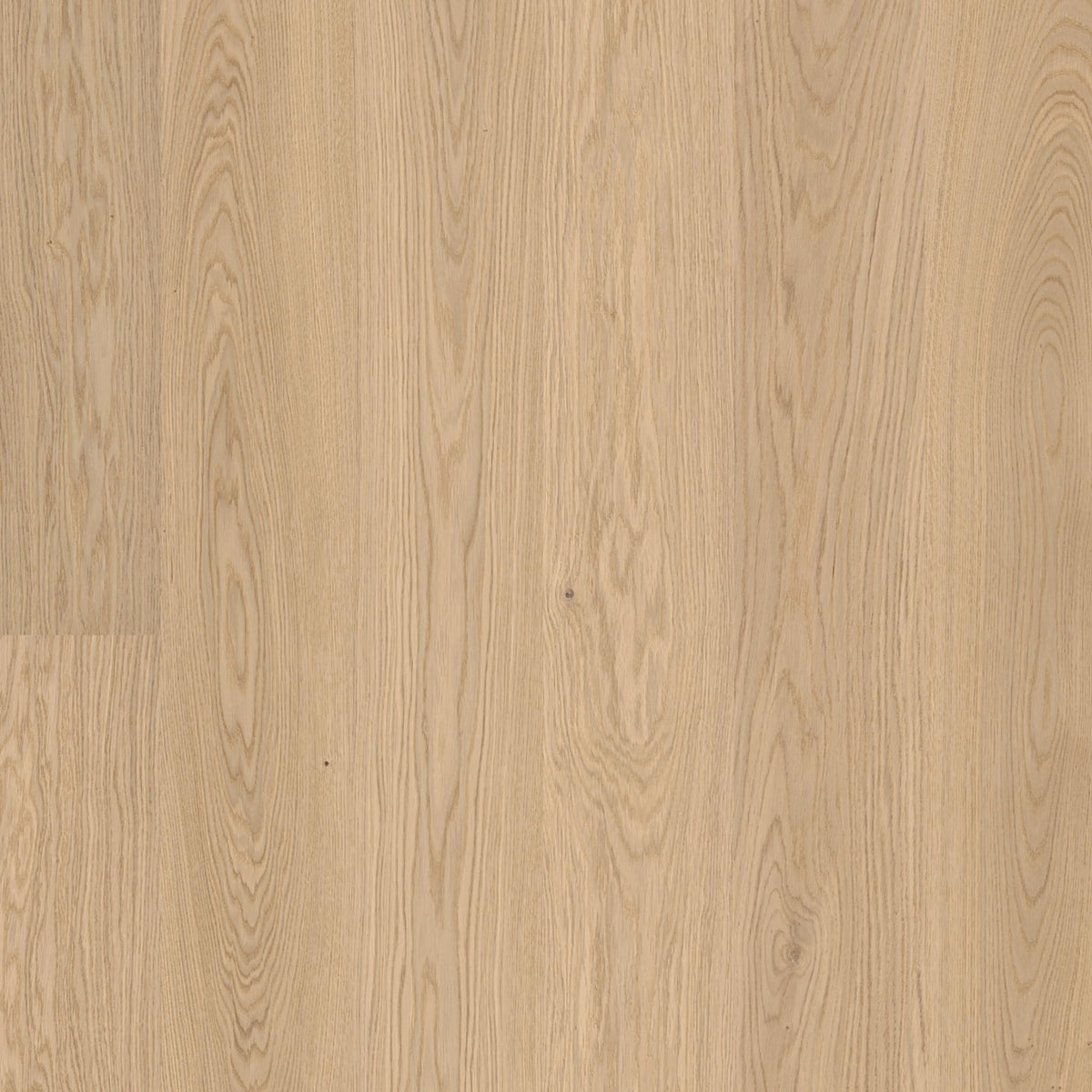 Roble - Oak Pure - Arca – Leader and Supplier of Natural Stone, Marble ...
