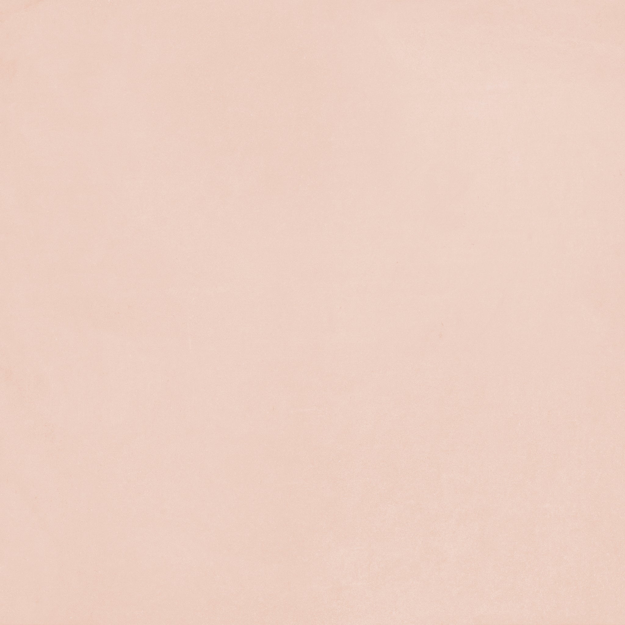 Futura Rose